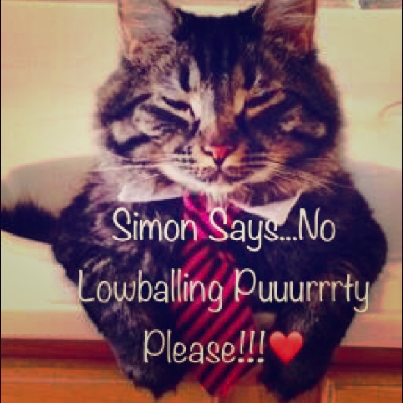 Stunning Backless Lace Wedding Gown - Picture 8 of 8